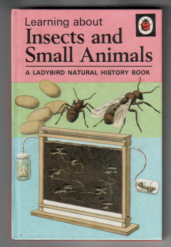 Learning about Insects and Small Animals