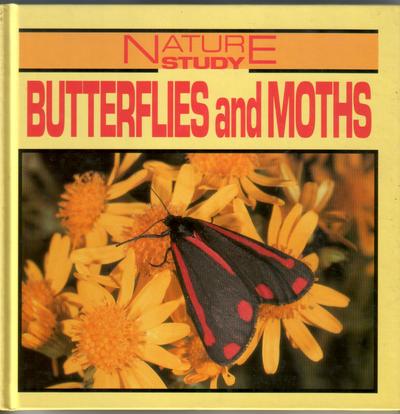 Butterfiles and Moths