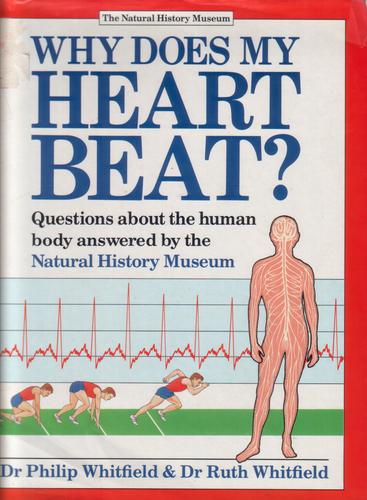 Why does my heart beat?