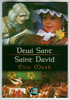 Saint David / Dewi Sant by Elin Meek