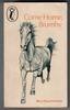 Come Home, Brumby by Mary Elwyn Patchett