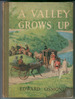 A Valley Grows Up by Edward Osmond