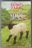Home Farm Twins: Susie the Orphan by Jenny Oldfield