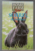Home Farm Twins: Sorrel the Substitute by Jenny Oldfield