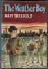 The Weather Boy by Mary Treadgold