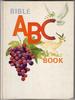 Bible ABC Book by Solveig Paulson Russell