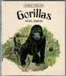 Gorillas by Noel Simon