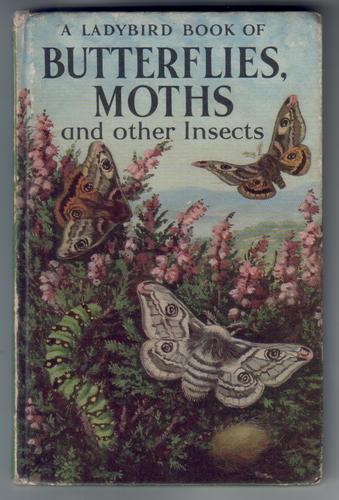 Butterflies, Moths and Other Insects