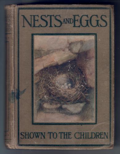 Nests and Eggs