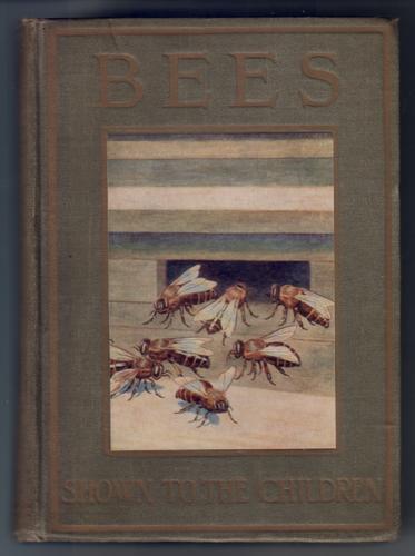 Bees - Shown to the children