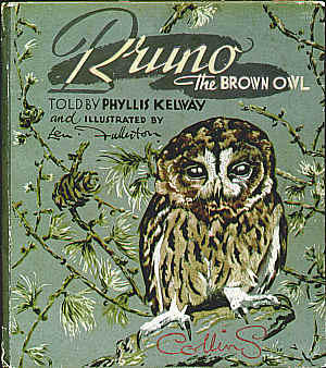 Bruno the Brown Owl