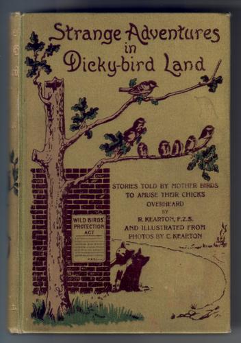 Strange Adventures in Dicky-bird Land