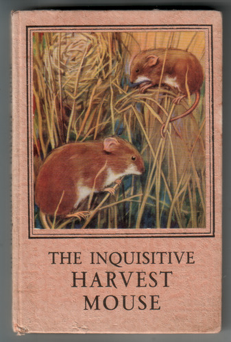 The Inquisitive Harvest Mouse