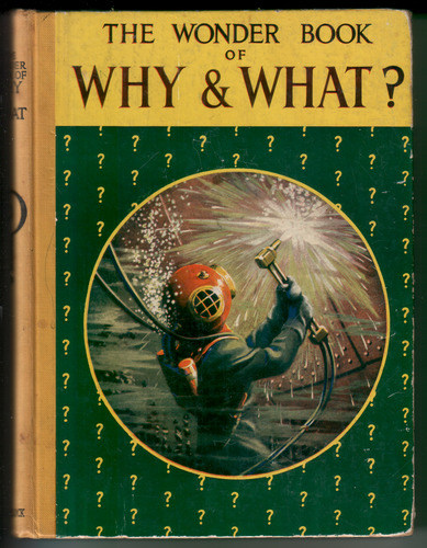 The Wonder Book of Why and What