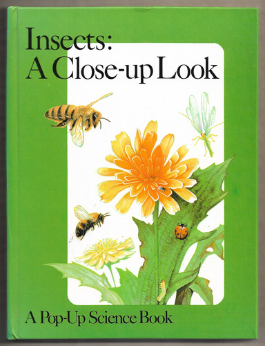 Insects: A Close-up Look