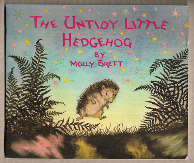 The Untidy Little Hedgehog