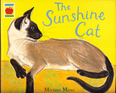 The Sunshine Cat