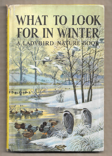 What to look for in Winter