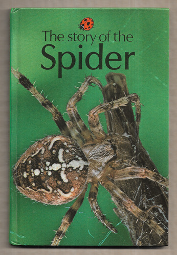 The Story of the Spider