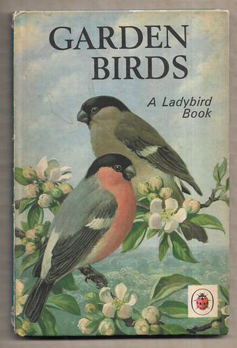 Garden Birds