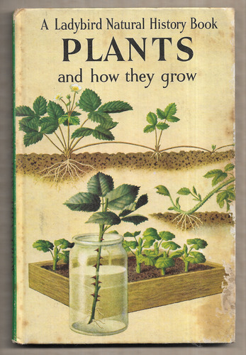 Plants and how they grow