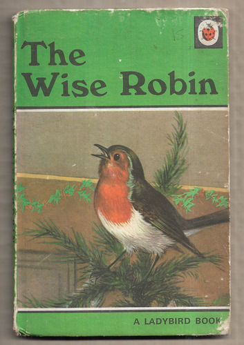 The Wise Robin