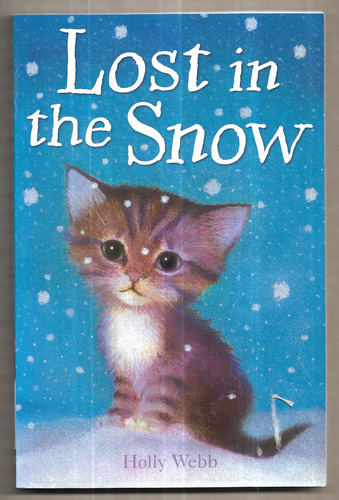 Lost in the Snow