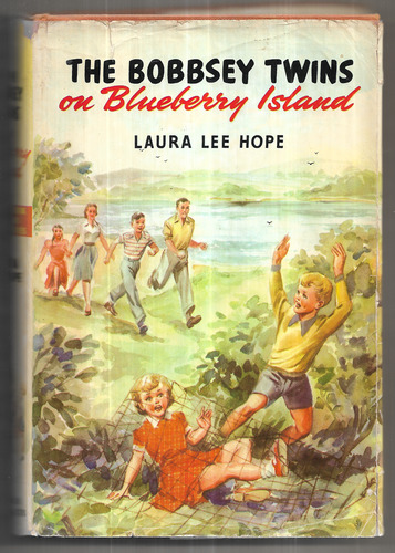 The Bobbsey Twins on Blueberry Island