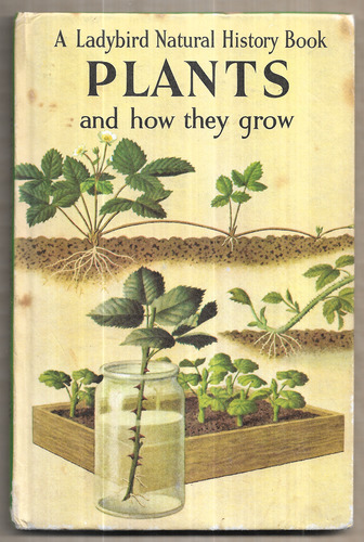 Plants and how they grow