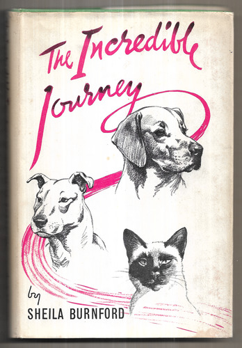 The Incredible Journey
