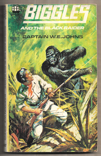Biggles and the Black Raider