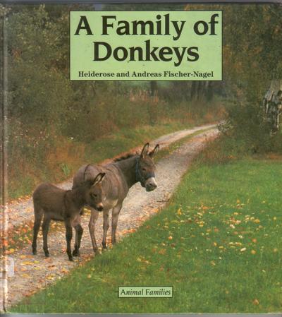 A Family of Donkeys