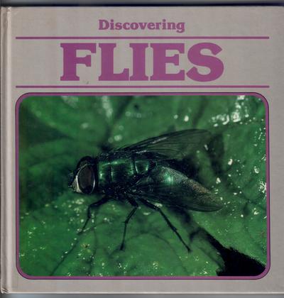 Discovering Flies