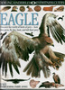 Eagle by Jemma Parry-Jones