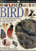 Bird by David Burnie