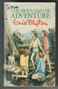 The Mountain of Adventure by Enid Blyton