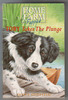 Home Farm Puppies: Toby Takes the Plunge by Jenny Oldfield