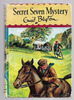 Secret Seven Mystery by Enid Blyton