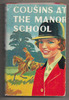 Cousins at the Manor School by Rose-Mary Silvester