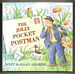 The Jolly Pocket Postman by Allan Ahlberg