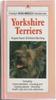 Yorkshire Terriers by Angela Sayer and Edward Bunting