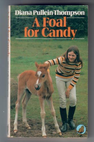 A foal for Candy