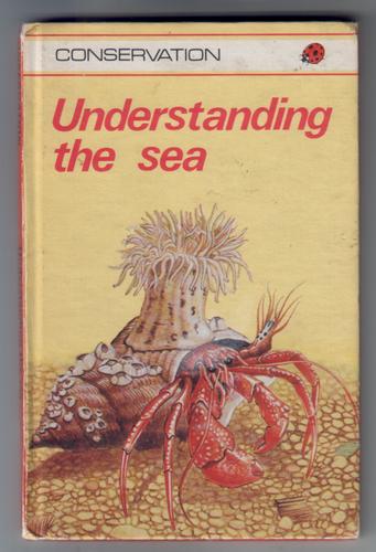 Understanding the sea