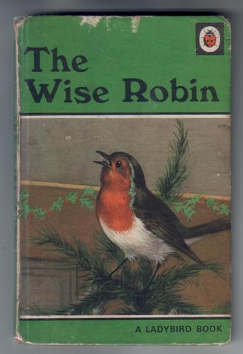 The Wise Robin