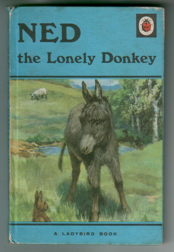 Ned the Lonely Donkey