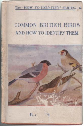Common British Birds and how to identify them