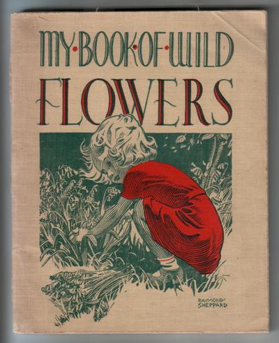 My Book  of Wild Flowers